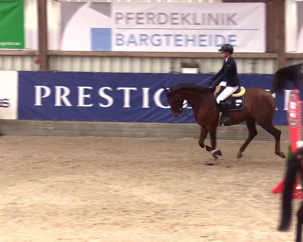 1. Nordic Jumping event Negernbötel 2023 - Season Opening