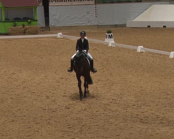Reitturnier Kreuth 2023
