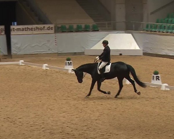 Reitturnier Kreuth 2023