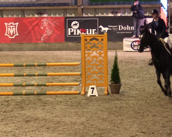 1. Nordic Jumping event Negernbötel 2023 - Season Opening