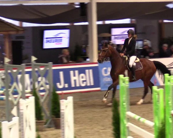1. Nordic Jumping event Negernbötel 2023 - Season Opening