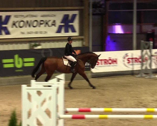 1. Nordic Jumping event Negernbötel 2023 - Season Opening