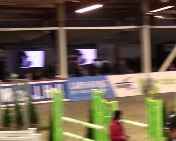 1. Nordic Jumping event Negernbötel 2023 - Season Opening