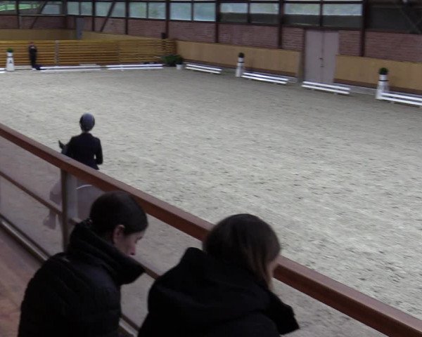 Reitturnier Hamburg-Friedrichshulde/Sylva Kuhrt 2023