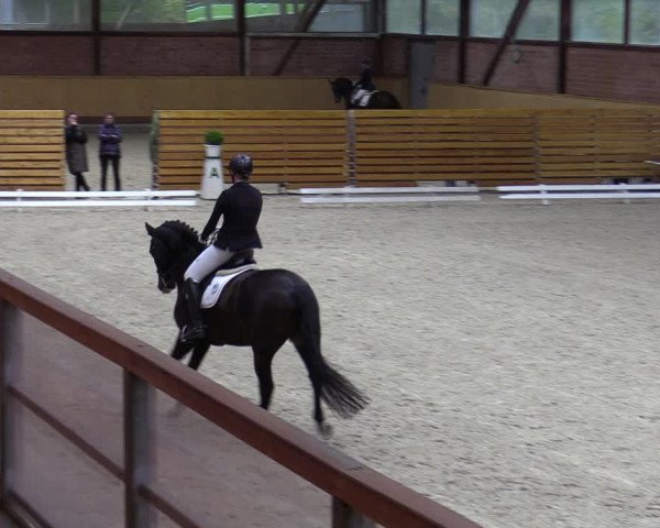 Reitturnier Hamburg-Friedrichshulde/Sylva Kuhrt 2023