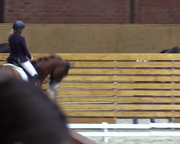 Reitturnier Hamburg-Friedrichshulde/Sylva Kuhrt 2023
