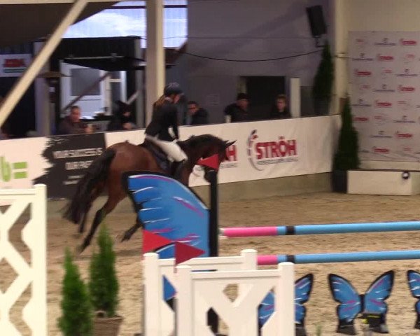 1. Nordic Jumping event Negernbötel 2023 - Season Opening