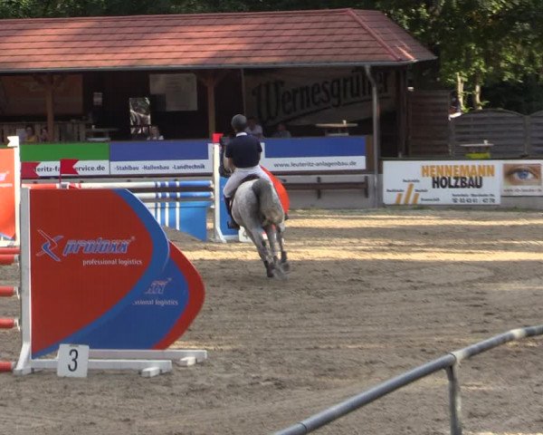 Reitturnier Lgl.-Oberhain, B95 2021