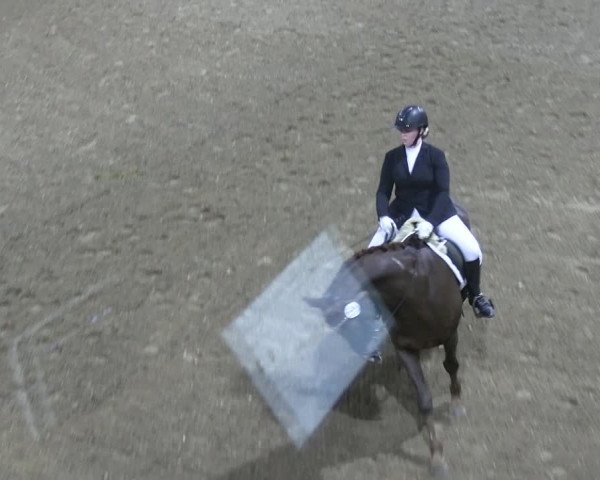 Reitturnier Hövelhof 2023