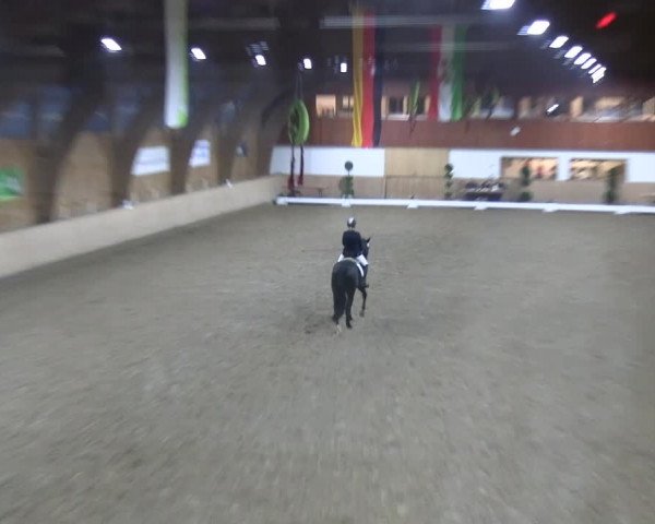 Reitturnier Hövelhof 2023