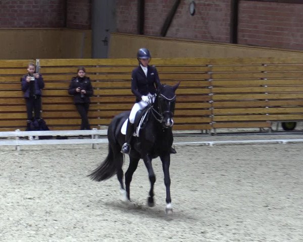 Reitturnier Hamburg-Friedrichshulde/Sylva Kuhrt 2023