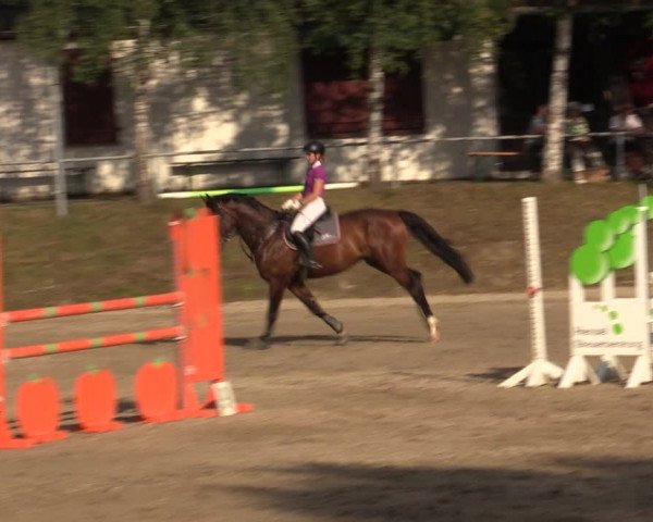 Reitturnier Lgl.-Oberhain, B95 2021