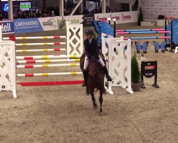 1. Nordic Jumping event Negernbötel 2023 - Season Opening