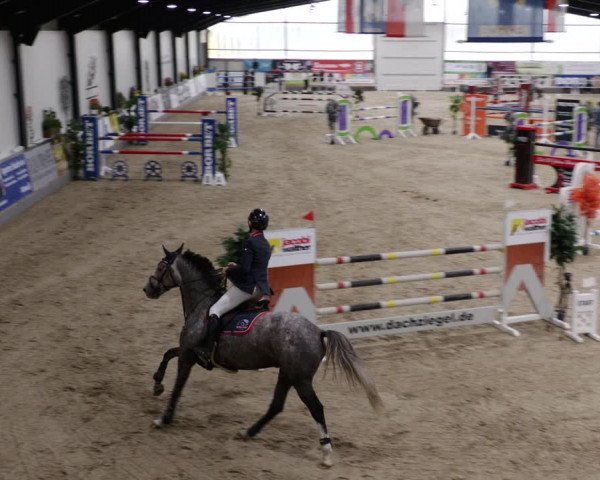 Reitturnier Borken 2023