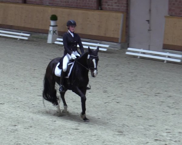 Reitturnier Hamburg-Friedrichshulde/Sylva Kuhrt 2023