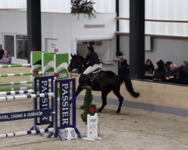 Reitturnier Borken 2023