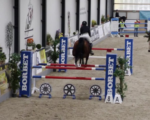 Reitturnier Borken 2023