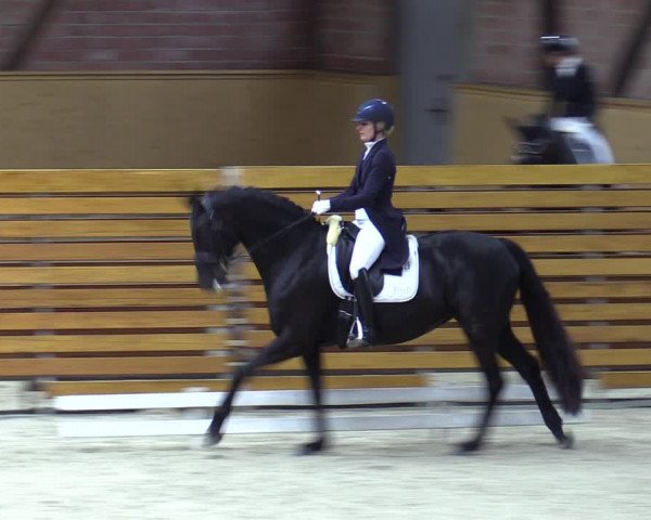 Reitturnier Hamburg-Friedrichshulde/Sylva Kuhrt 2023
