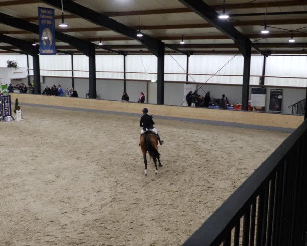 Reitturnier Borken 2023