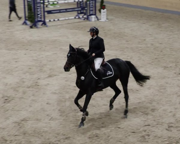 Reitturnier Borken 2023