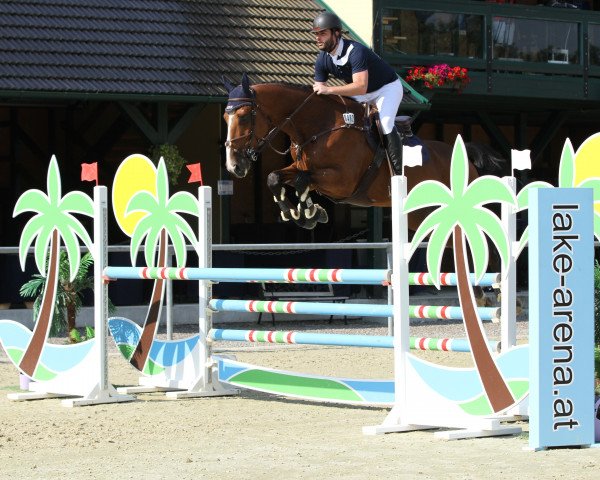 jumper Faisceau Rona (KWPN (Royal Dutch Sporthorse), 2010, from Gaillard de La Pomme)