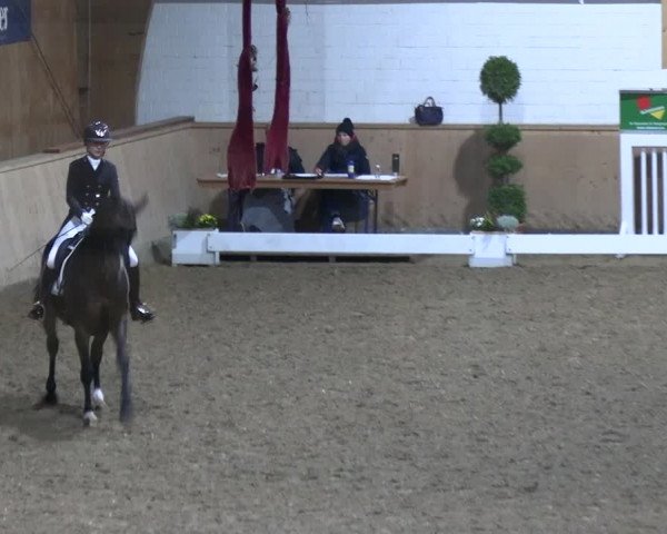 Reitturnier Hövelhof 2023