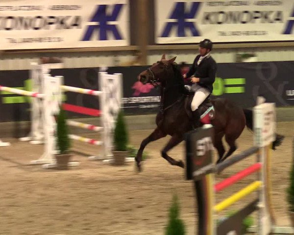 1. Nordic Jumping event Negernbötel 2023 - Season Opening