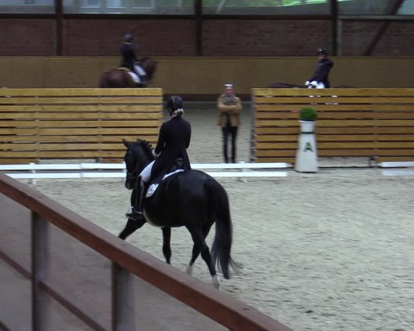 Reitturnier Hamburg-Friedrichshulde/Sylva Kuhrt 2023
