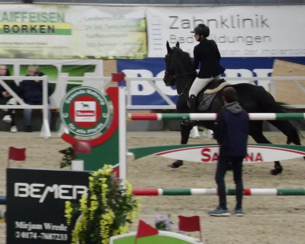 Reitturnier Borken 2023