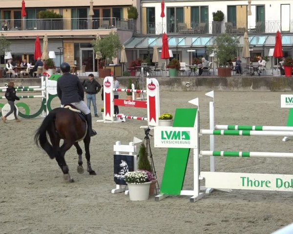 Erntedank Springturnier Nörten-Hardenberg 2021