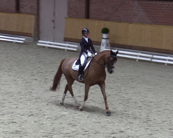 Reitturnier Hamburg-Friedrichshulde/Sylva Kuhrt 2023
