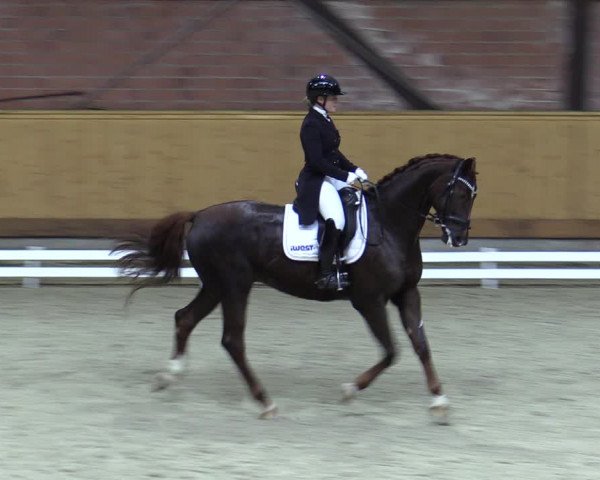 Reitturnier Hamburg-Friedrichshulde/Sylva Kuhrt 2023