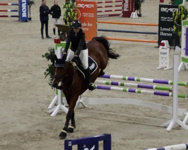 Reitturnier Borken 2023