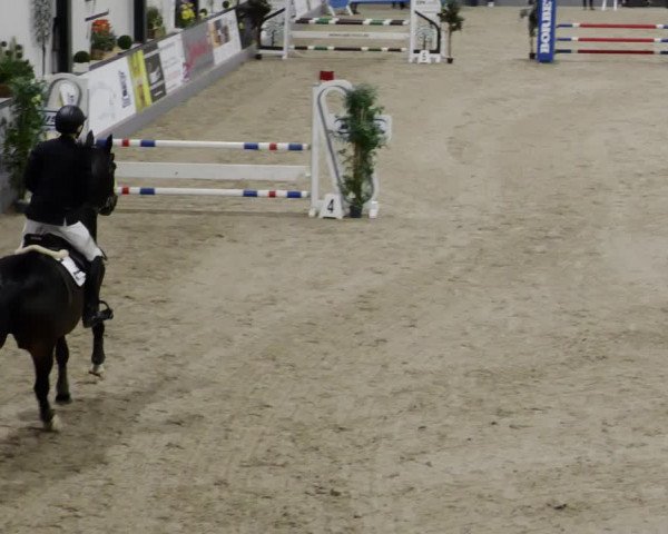 Reitturnier Borken 2023