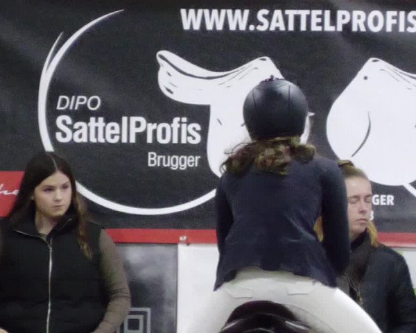Reitturnier Borken 2023
