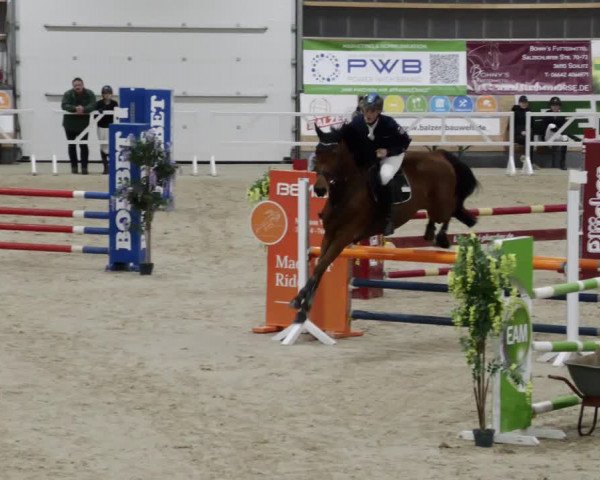Reitturnier Borken 2023