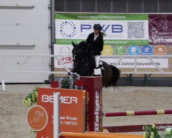 Reitturnier Borken 2023