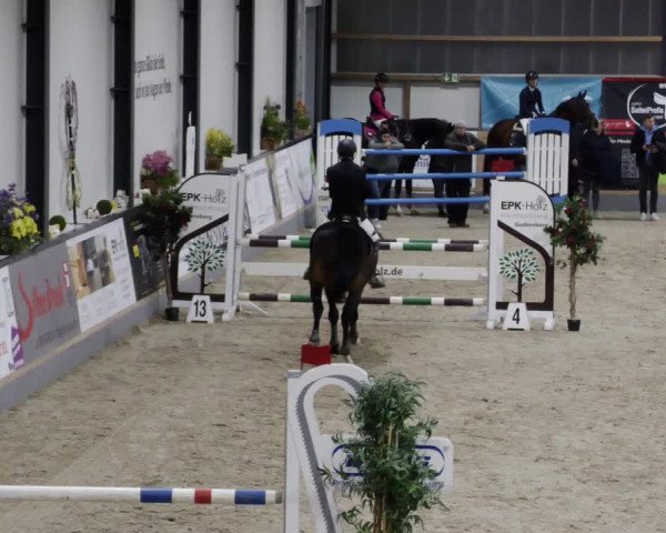 Reitturnier Borken 2023