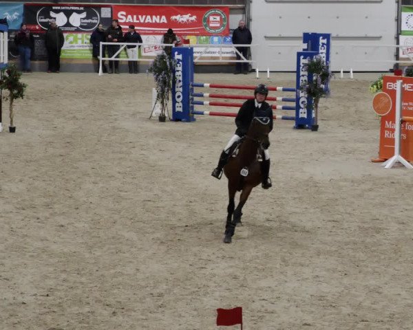 Reitturnier Borken 2023