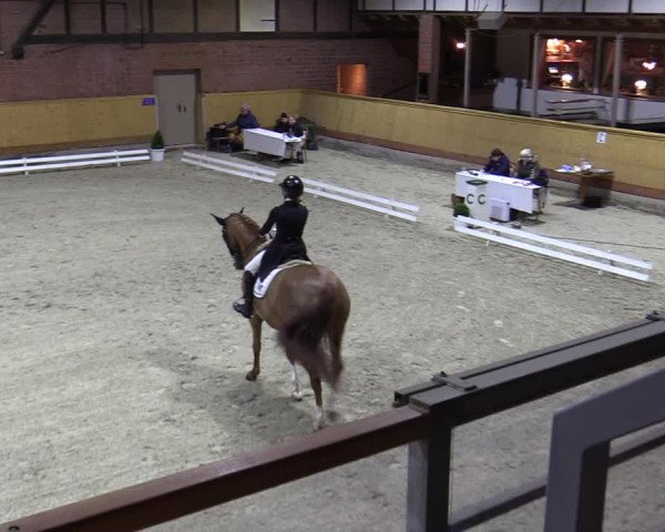 Reitturnier Hamburg-Friedrichshulde/Sylva Kuhrt 2023