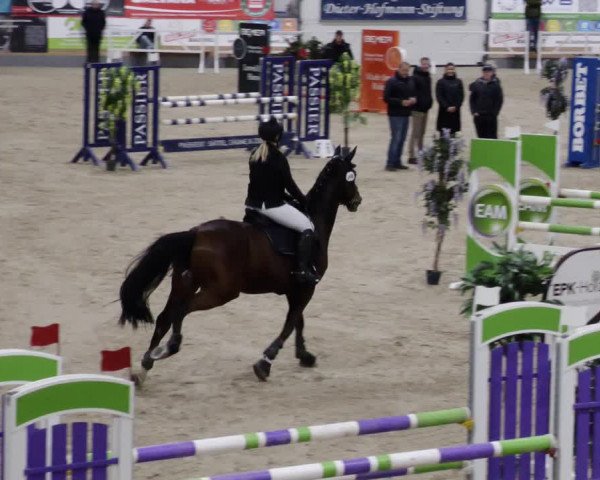 Reitturnier Borken 2023