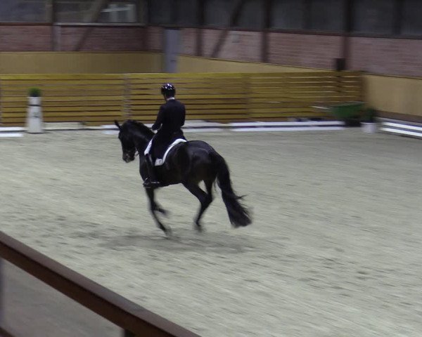 Reitturnier Hamburg-Friedrichshulde/Sylva Kuhrt 2023