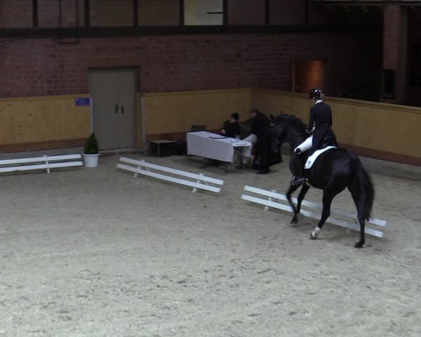 Reitturnier Hamburg-Friedrichshulde/Sylva Kuhrt 2023
