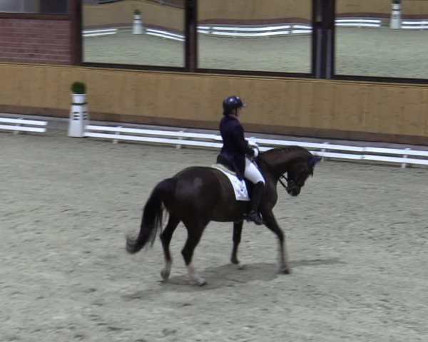 Reitturnier Hamburg-Friedrichshulde/Sylva Kuhrt 2023