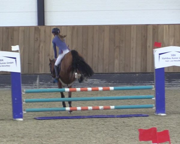Reitturnier Zwickau 2023