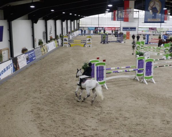 Reitturnier Borken 2023