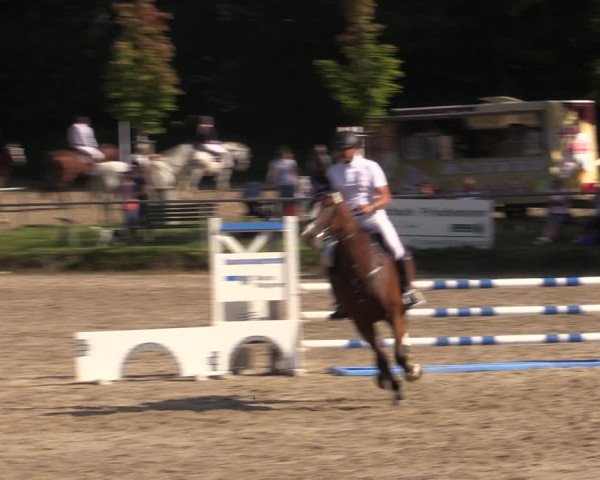 Reitturnier Lgl.-Oberhain, B95 2021