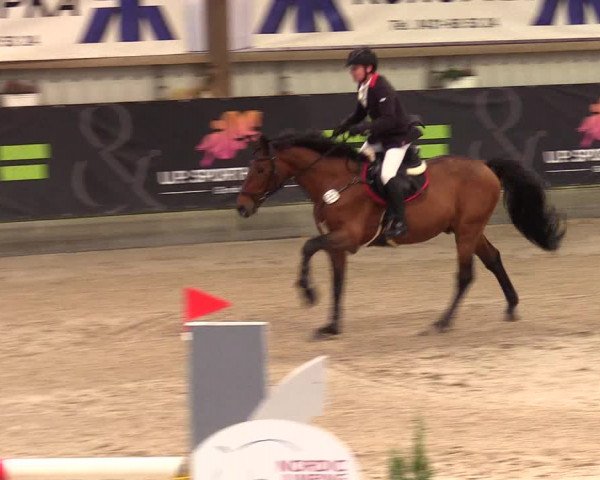 1. Nordic Jumping event Negernbötel 2023 - Season Opening