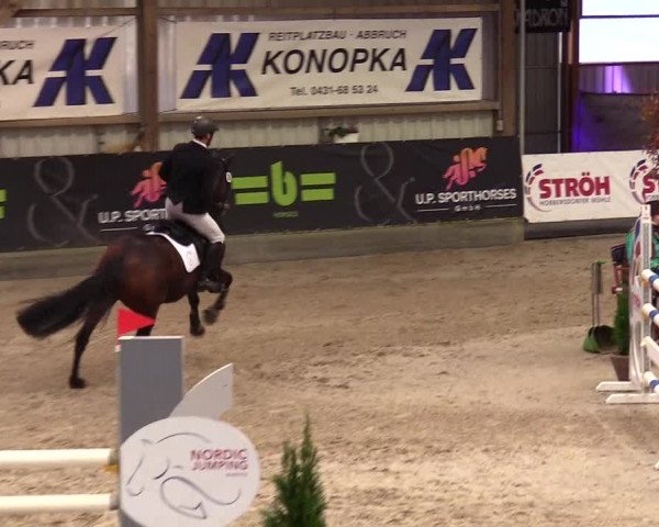 1. Nordic Jumping event Negernbötel 2023 - Season Opening