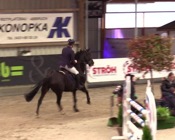 1. Nordic Jumping event Negernbötel 2023 - Season Opening